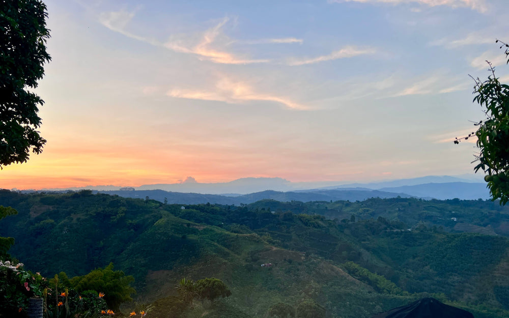 Coffee farm in Risaralda, Caldas at sunset