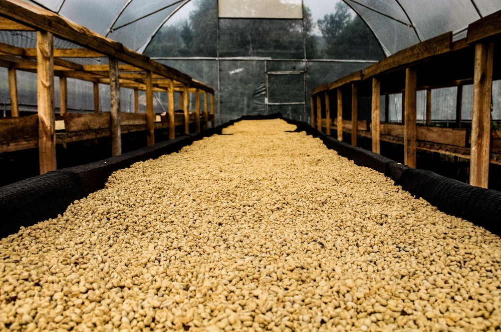 Traditional processing methods in the Antioquia region