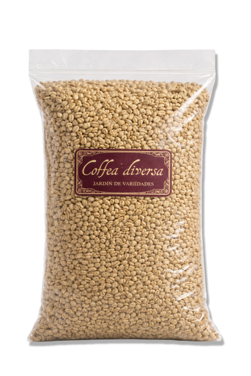 12.5kg Guatemalan Coffea diversa Queen Geisha Green Coffee Beans