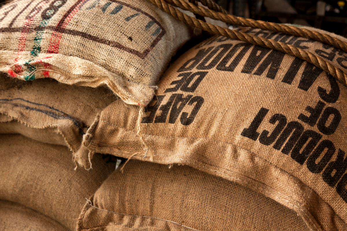 How to Buy Green Coffee Beans Wholesale: A Step-by-Step Guide