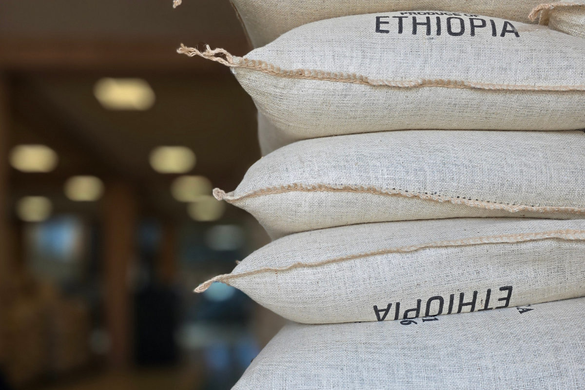 Why Your Green Coffee Is Late And What Every Roaster Should Know About It