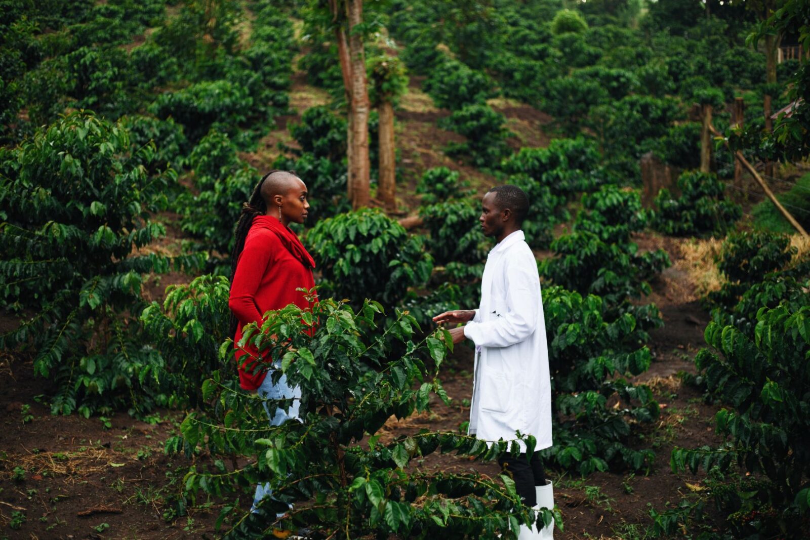 What does it mean to be B Corp?