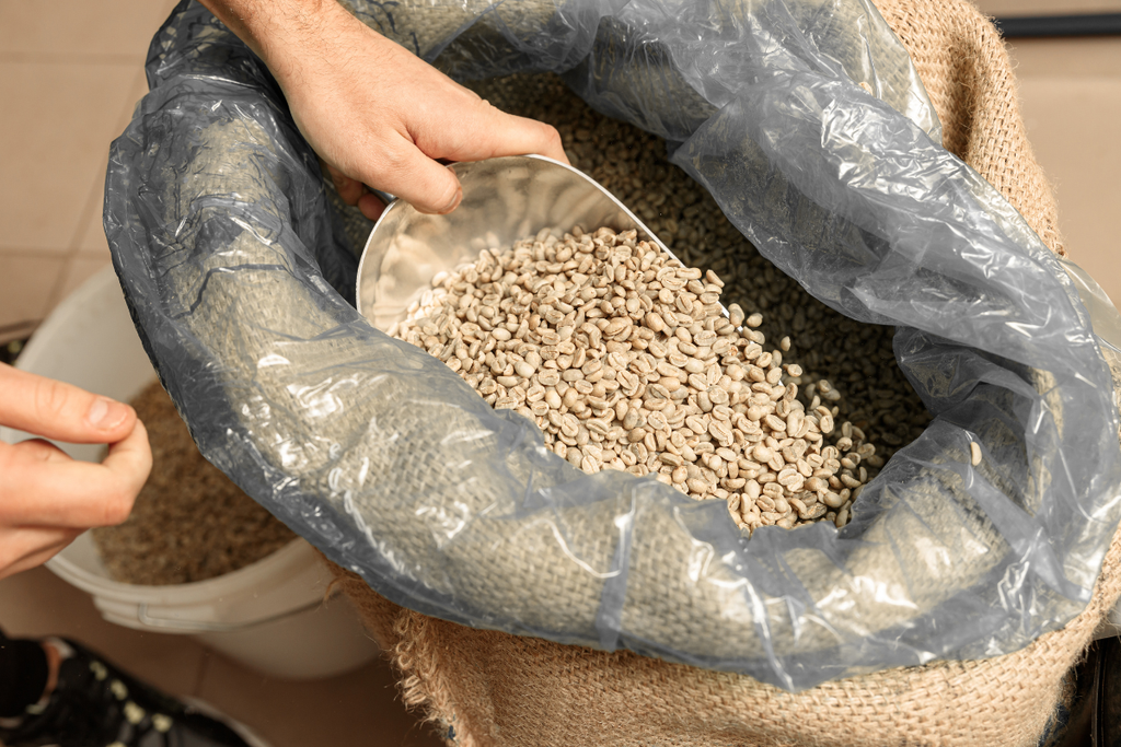 Green Coffee Moisture, Water Activity &amp; Defects: A Roaster's Guide (Part 2 of 2)