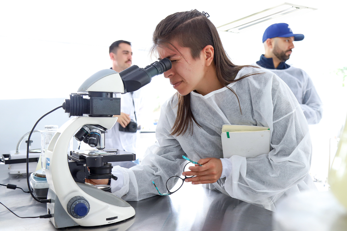 Disentangling Diversity in the Coffee Fermentation Process