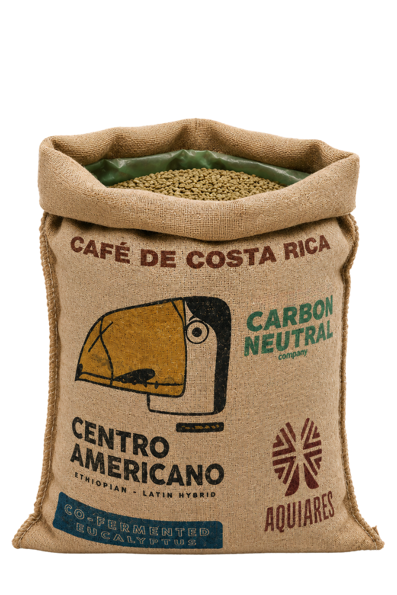 30kg Bag Costa Rica Centroamericano Eucalyptus Green Coffee Beans, Co-fermented - Wholesale