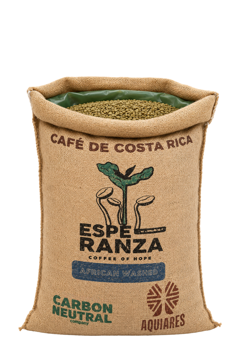 69kg Bag Costa Rica Esperanza African Green Coffee Beans, Washed - Wholesale