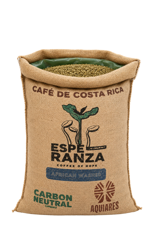 69kg Bag Costa Rica Esperanza African Green Coffee Beans, Washed - Wholesale