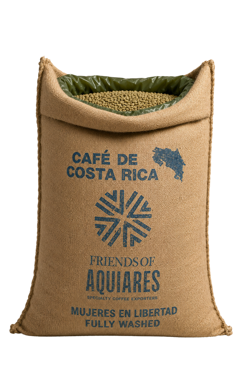 69kg Bag Costa Rica Women in Coffee, Green Beans, Washed - Wholesale
