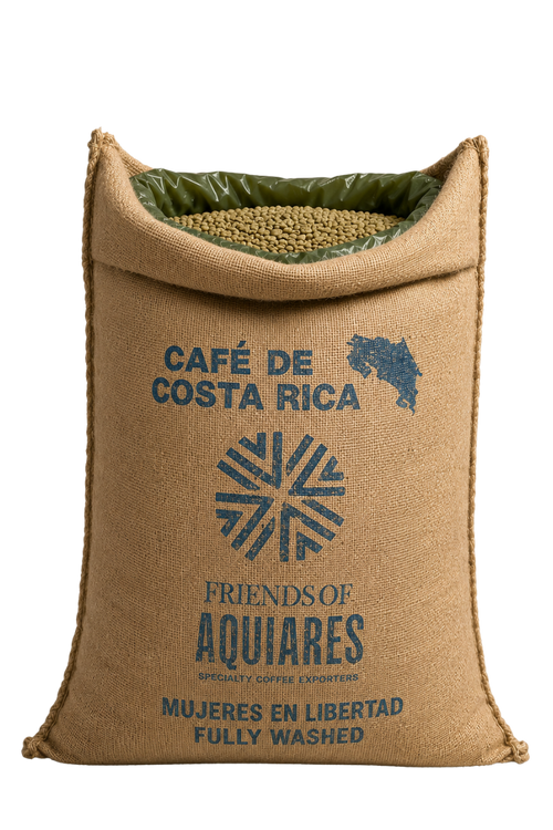 69kg Bag Costa Rica Women in Coffee, Green Beans, Washed - Wholesale