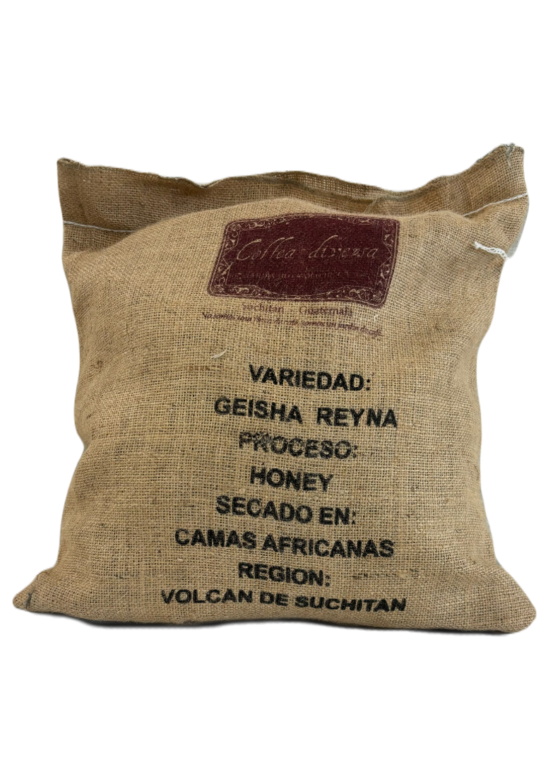 Guatemalan Queen Geisha Green Coffee Honey process | JA Coffee
