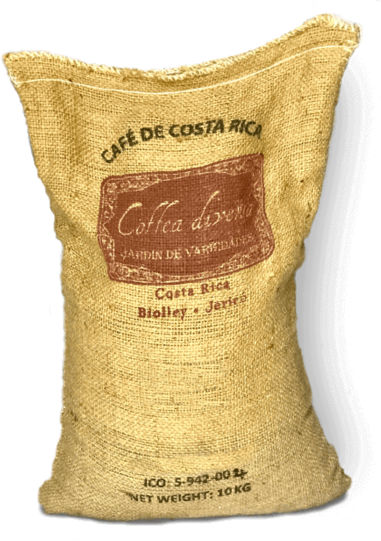 Costa Rican Coffea Diversa Liberica Winey process - Green Coffee