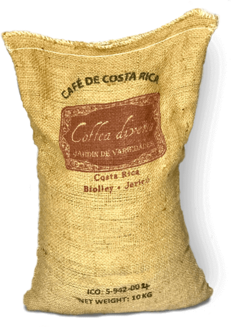 Bag of green coffee beans from the exclusive coffea diversa garden