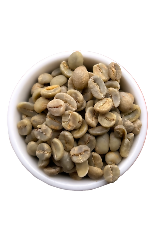 Green Bourbon Rey coffee beans from Costa Rica's Coffea diversa!