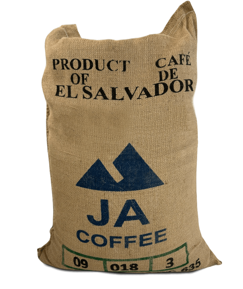 Kenya SL-34 Green Coffee Beans from El Salvador | JA Coffee | JA