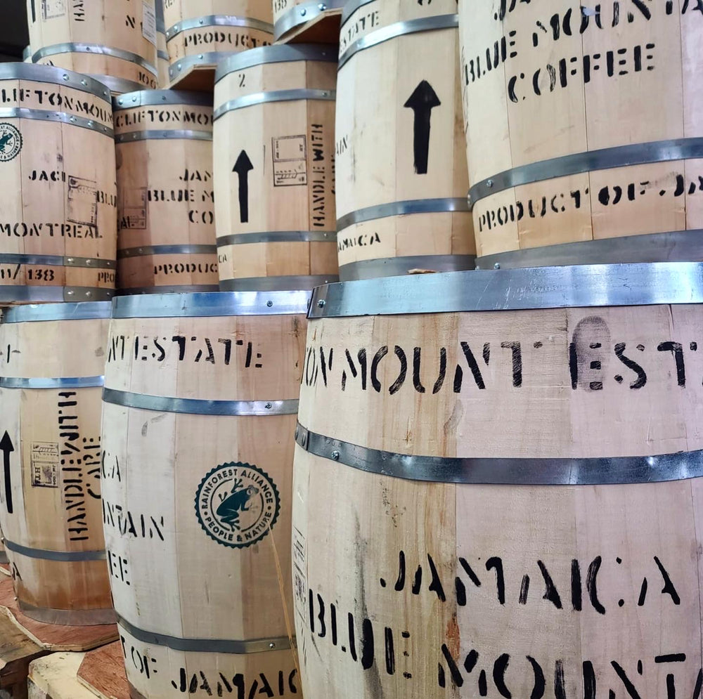 Barrels of authentic Jamaica Blue Mountain Coffee