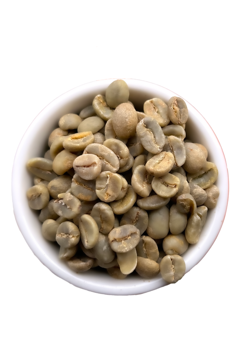 Green Specialty coffee beans from Costa Rica, Natural Process