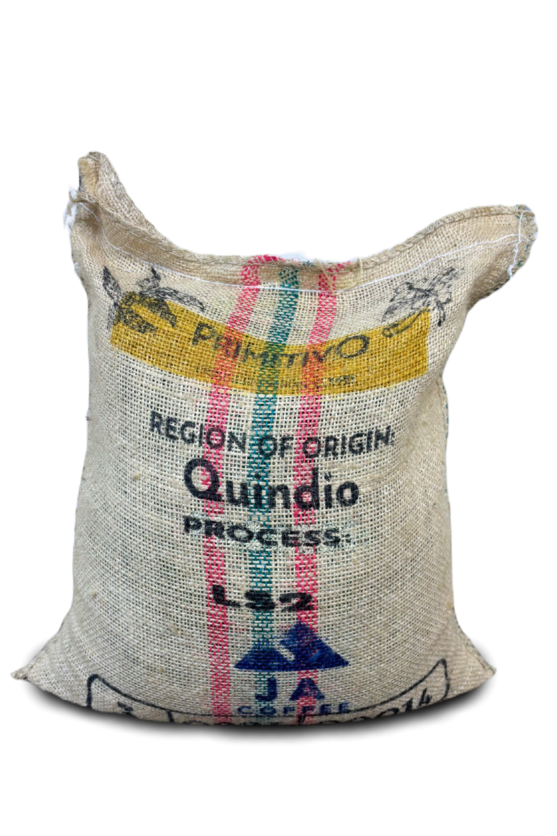 Packshot of LS2 from Ana Maria Donneys' Café Primitivo estate