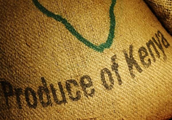 Bag of green coffee beans from Kenya