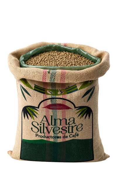 【福田コーヒーラボ】ECM3201 LBO by  coffee Pink Bourbon Chai Alma Silvestre Specialty Green Coffee Beans │JA