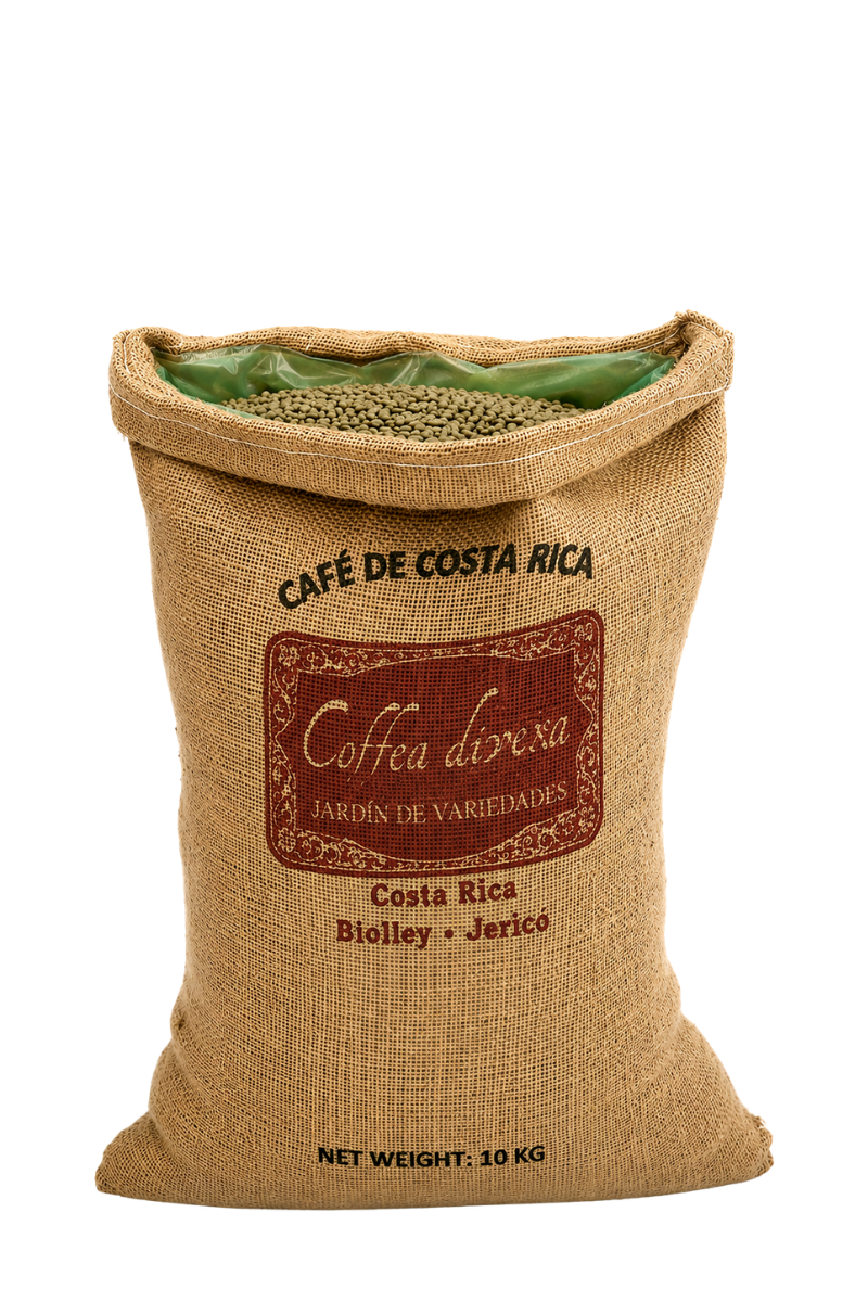 Sac de 10 kg de grains de café vert de spécialité Bourbon Rey du Costa Rica de Coffea diversa, Lavé - Vente en gros