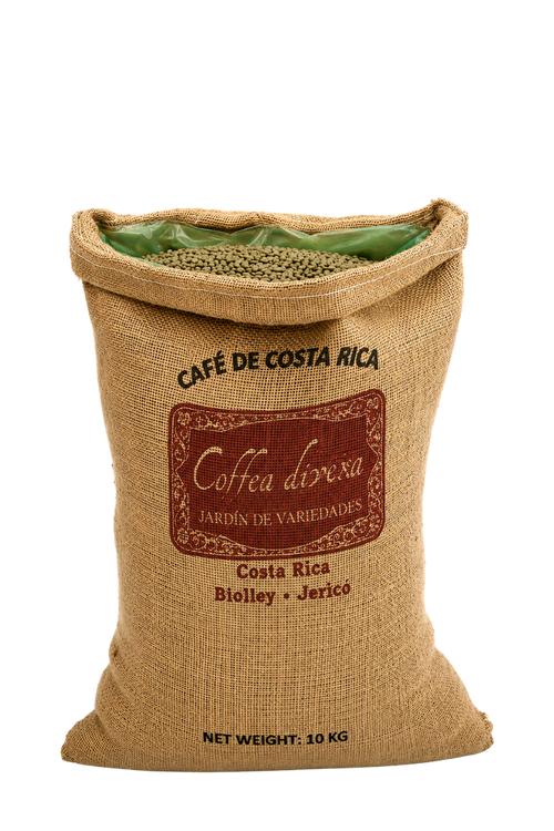 10kg Bag of Costa Rican Liberica Specialty Green Coffee Beans from Coffea diversa, Winey Process  - Wholesale