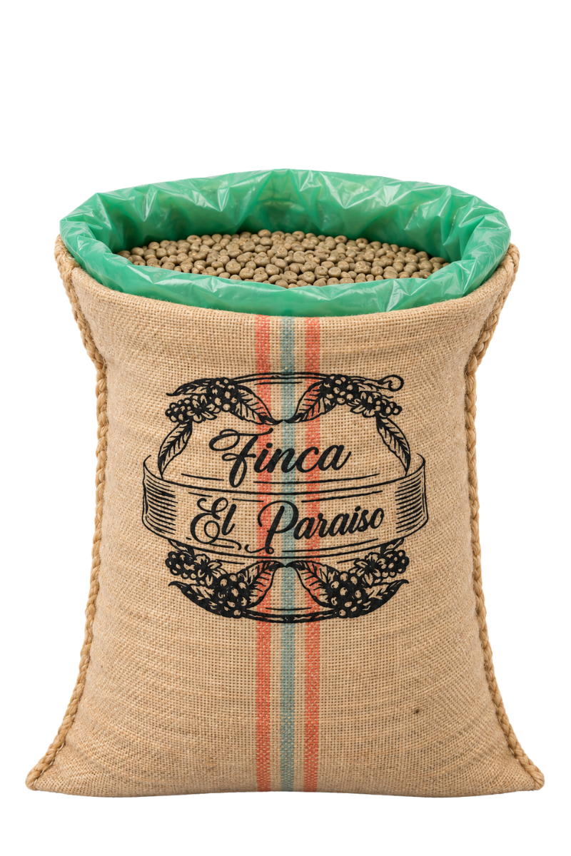 Sac de 70 kg de café vert Castillo, Finca El Paraíso, Colombie, nature – Vente en gros