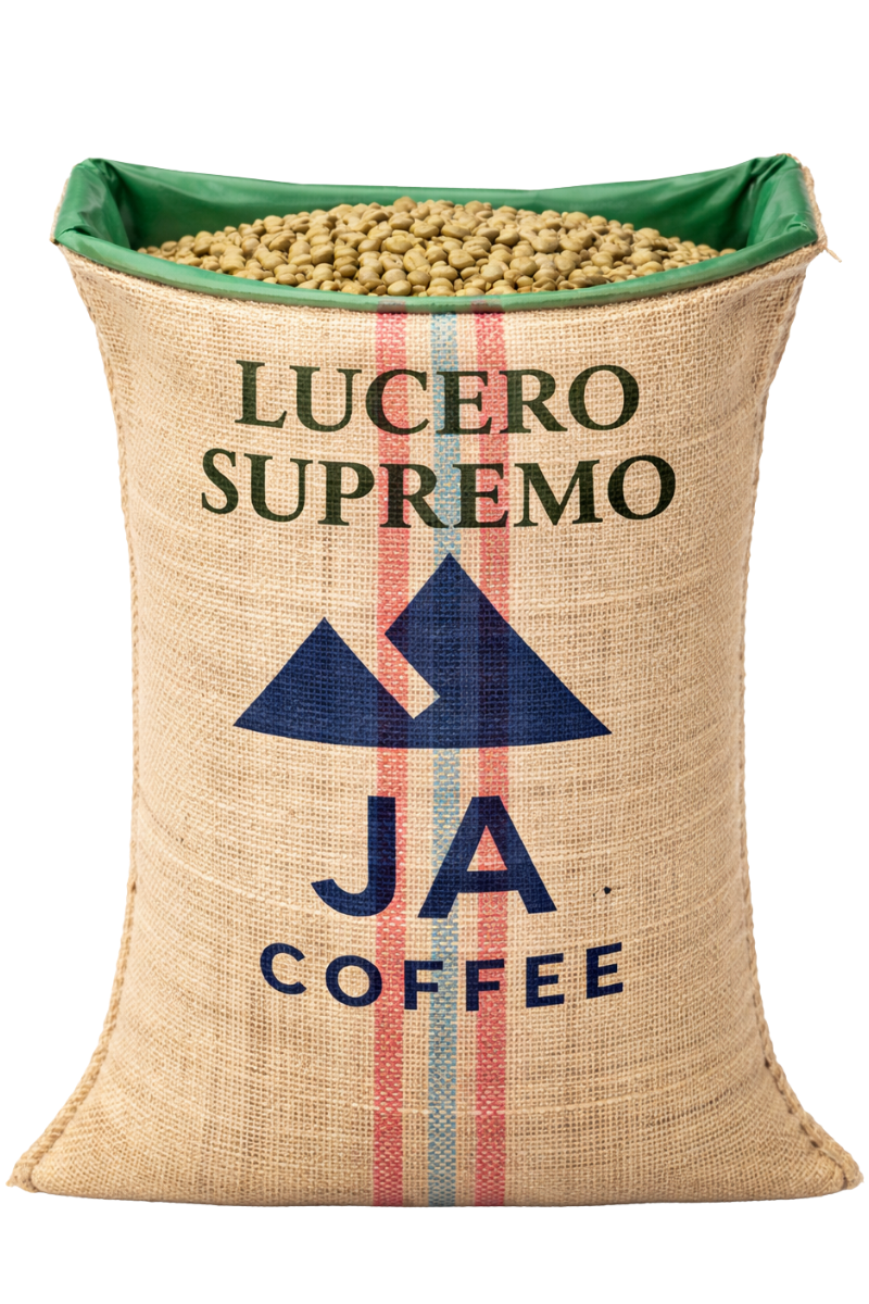 Green Coffee Beans from Caldas, Colombia. Unroasted, wholesale. JA Coffee Importers