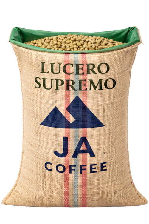 Green Coffee Beans from Caldas, Colombia. Unroasted, wholesale. JA Coffee Importers