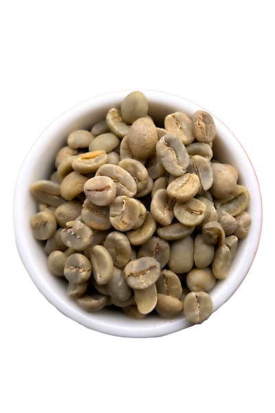 Green_beans_placeholder_6dc970